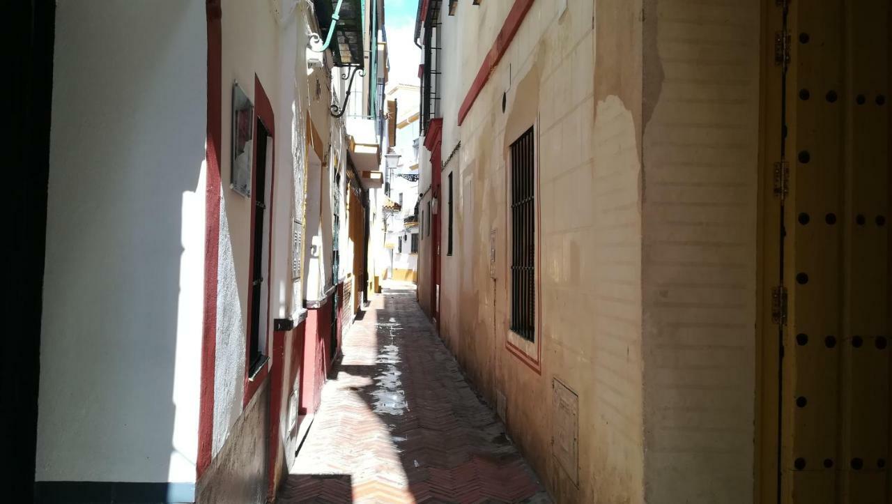 Apartament San Clemente *