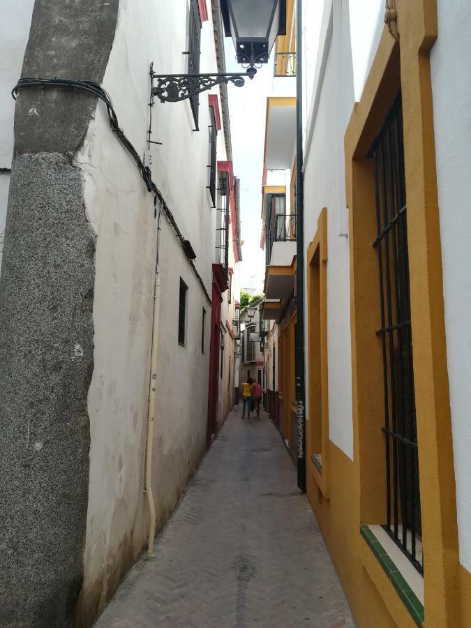 San Clemente Apartament *
