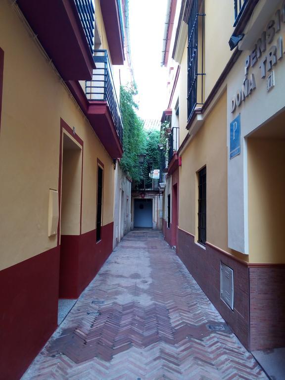 Apartment San Clemente *
